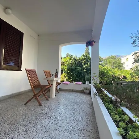 Guest House Kamelija Budva Exterior photo