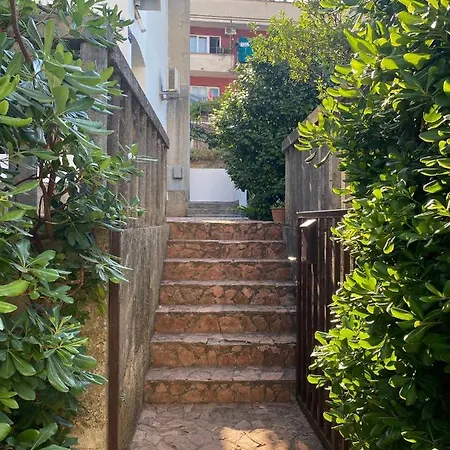 Guest House Kamelija Budva Exterior photo