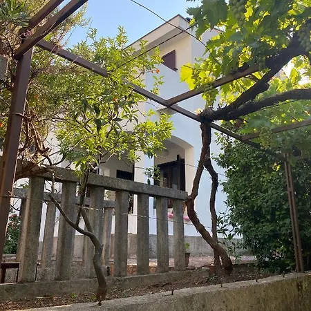 Guest House Kamelija Budva Exterior photo