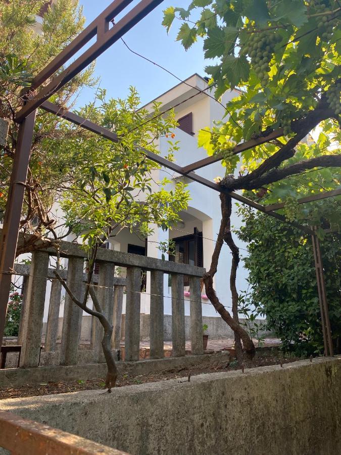 Holiday home Kamelija Budva